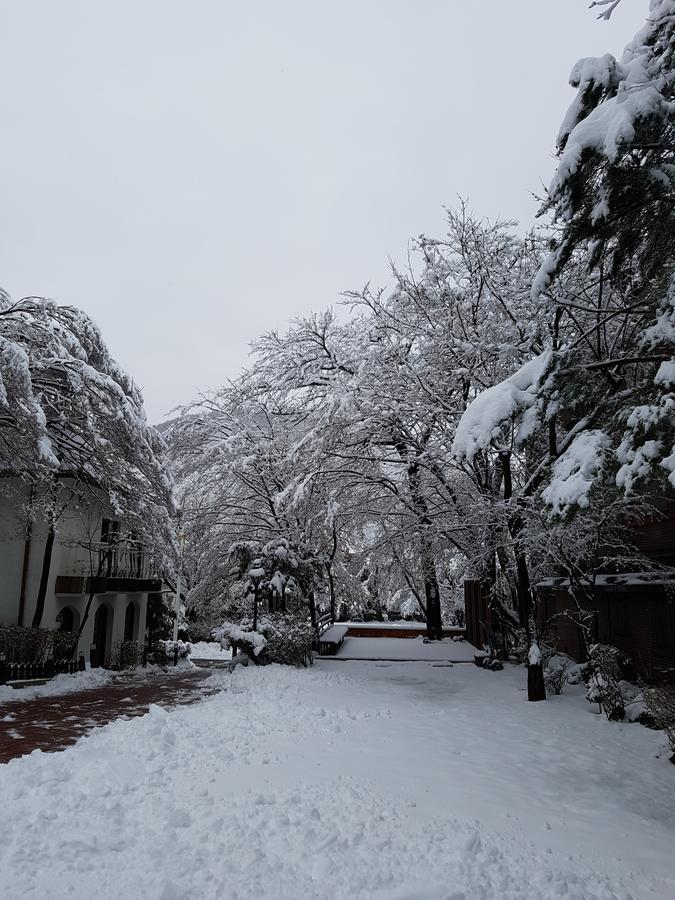White House Hotel Sokcho Exterior foto
