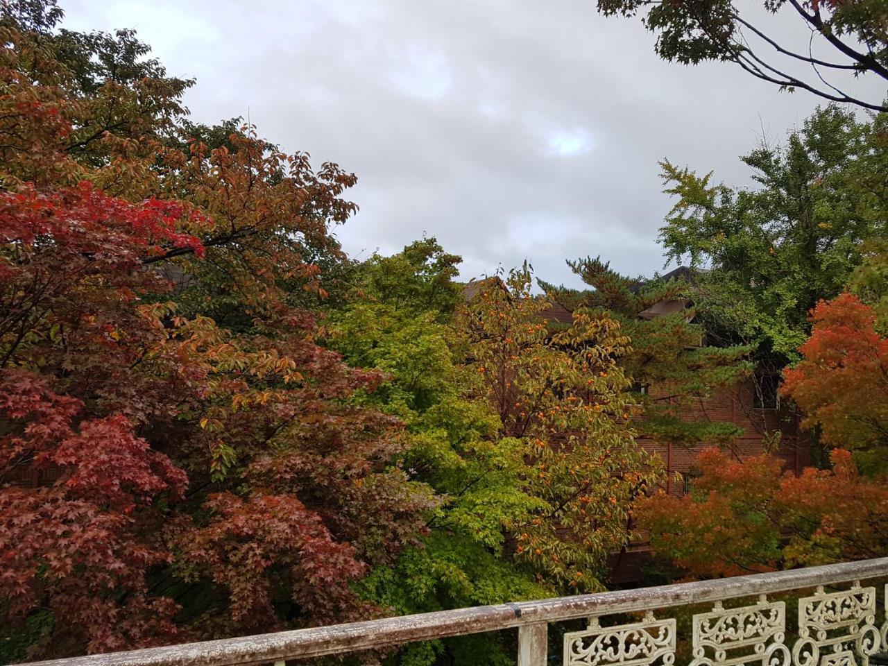 White House Hotel Sokcho Exterior foto
