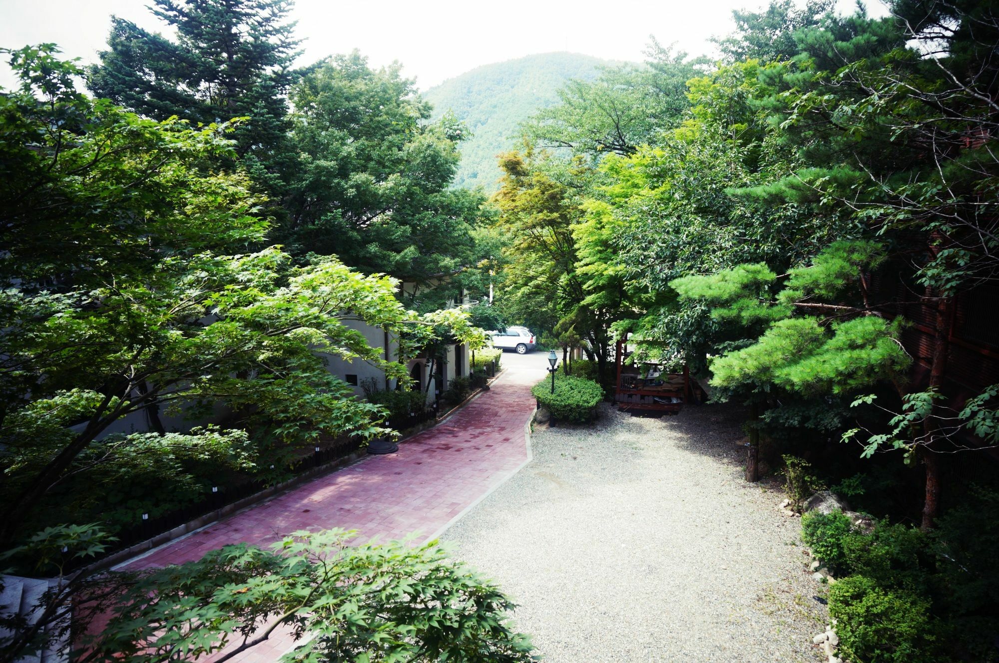 White House Hotel Sokcho Exterior foto
